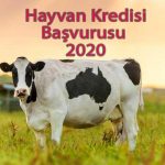 hayvan-kredisi-basvurusu-nasil-yapilir-2020[1]