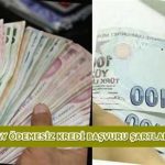 Bedelli Kredisi Kullanmanın Faydaları Nelerdir?