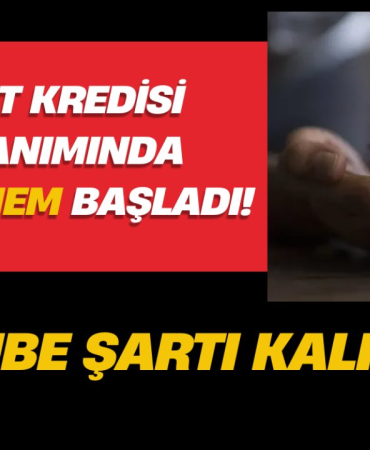 image_UBDCD0X16Y.png