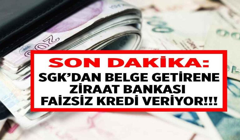 image_6SIHDHUTPZ.png