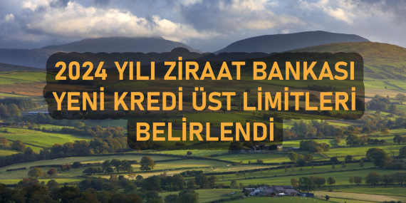 Bireysel Kredi Güncellemeleri: 2025’teki Trendler