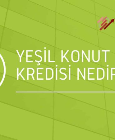 image_KUVF767611.png